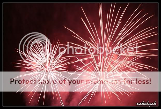 Fireworks7.jpg