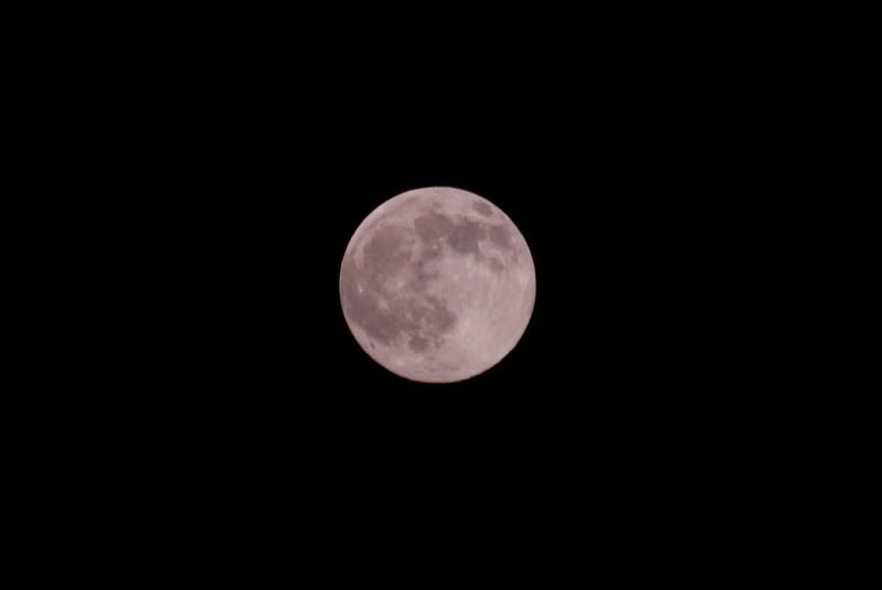 moon12-1-09004.jpg