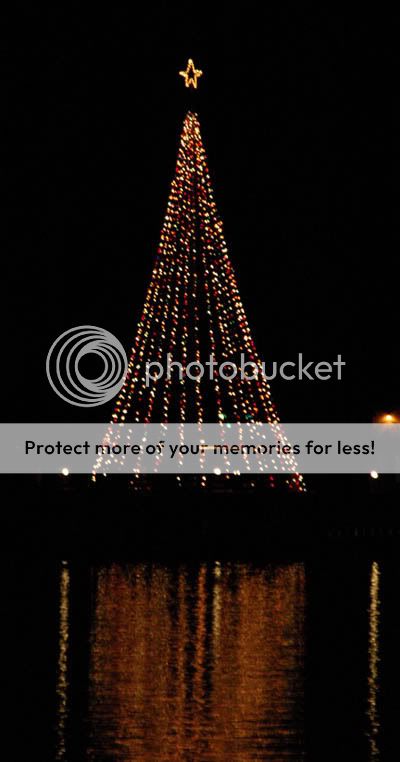 FestivalofLights009.jpg