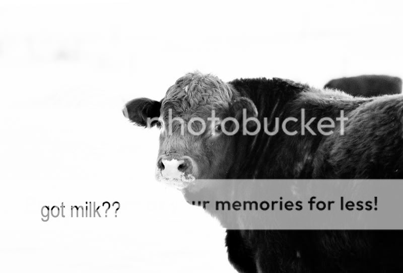 gotmilk.jpg