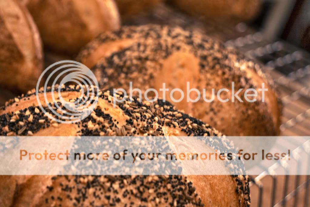 Close-up-bread.jpg
