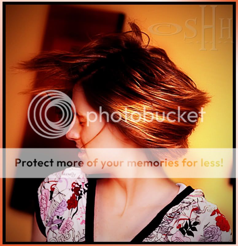 YvetteHairflickFrameWM1.jpg