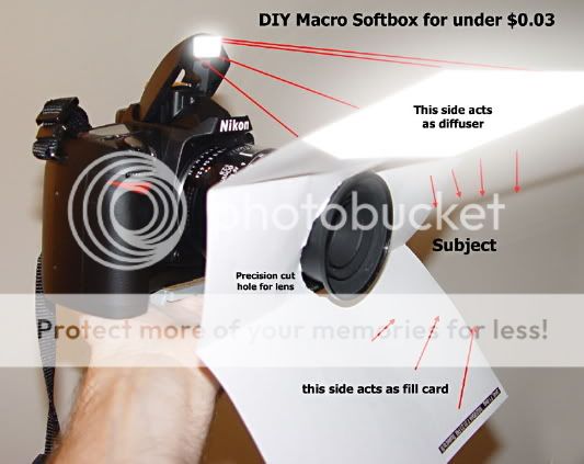 BrilliantQuickDirtyMacroSoftBox.jpg