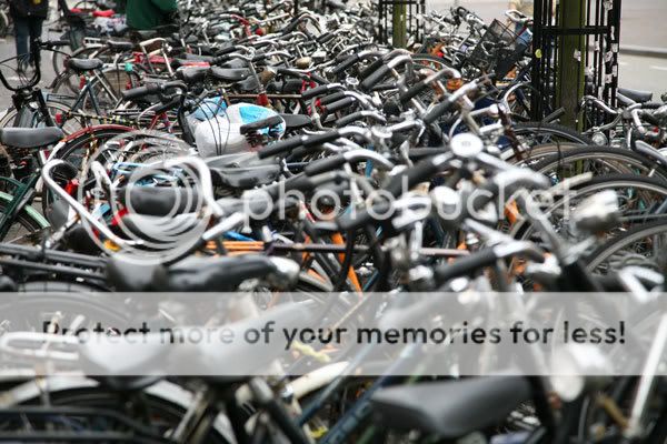 bikes1.jpg