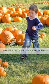 Pumpkin-Day-3.jpg