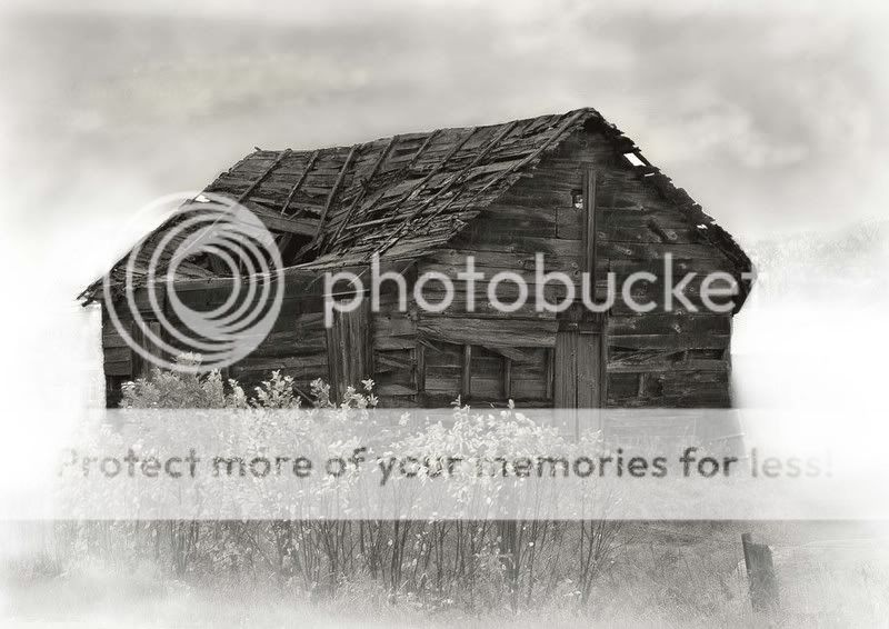 Old-barn-north-bay-bw-copy.jpg