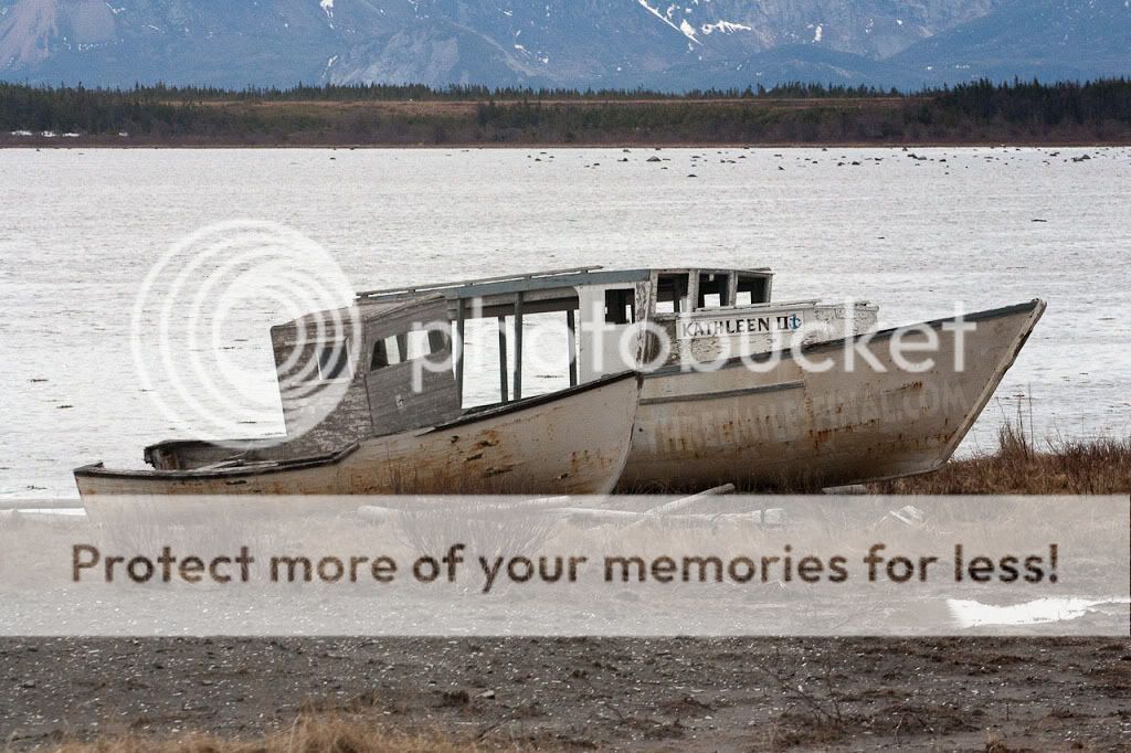 AbandonedBoats.jpg