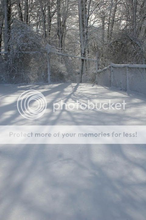 snow-fence-122704-1.jpg