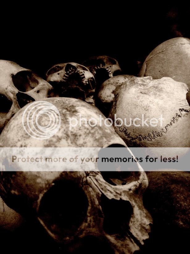 KILLINGFIELDSCHENGEKSKULLS.jpg