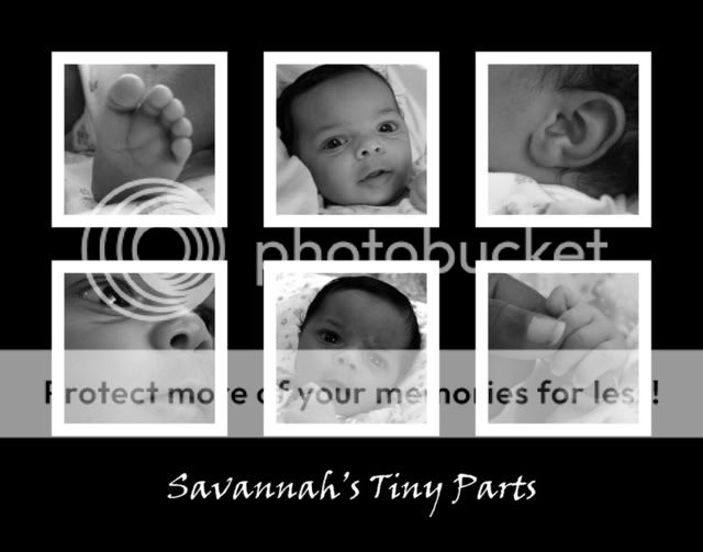 SavannahCollage3-1.jpg