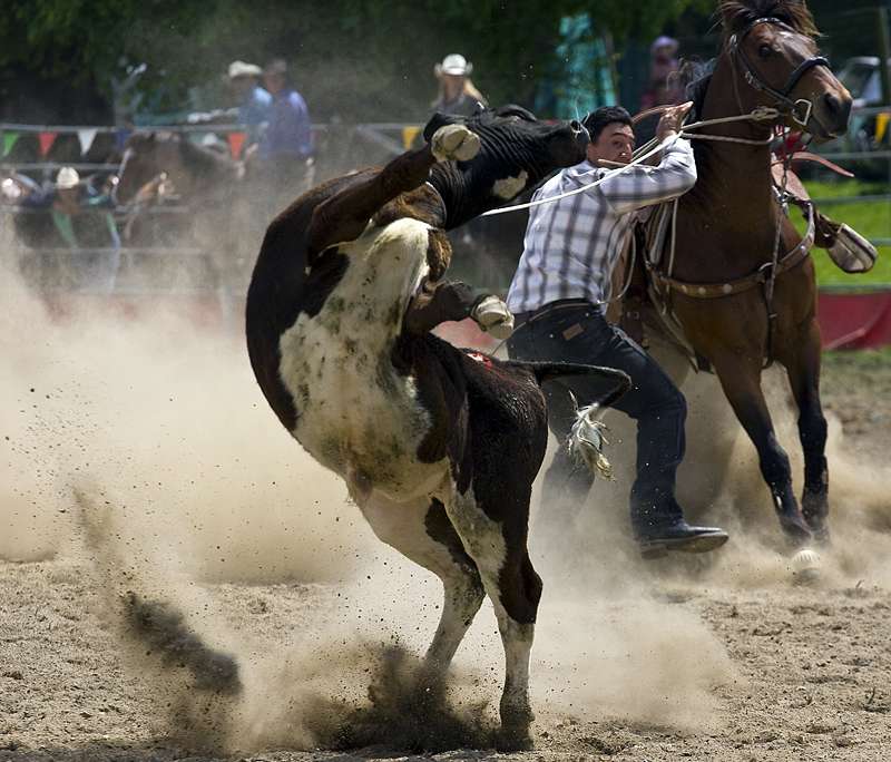 rodeo1800x684fd9.jpg