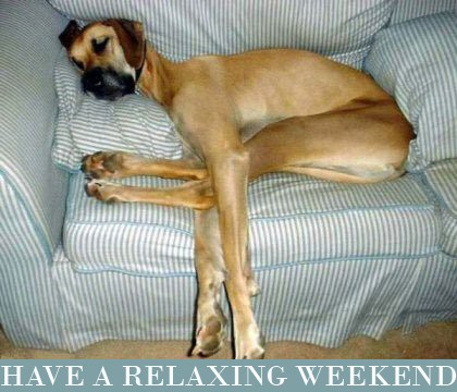 relaxing_dog.jpg