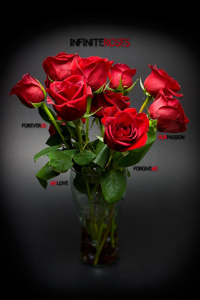 Roses-f.jpg