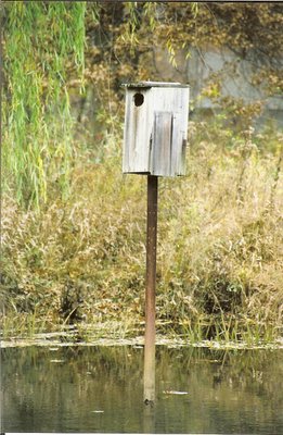 birdhouse.jpg