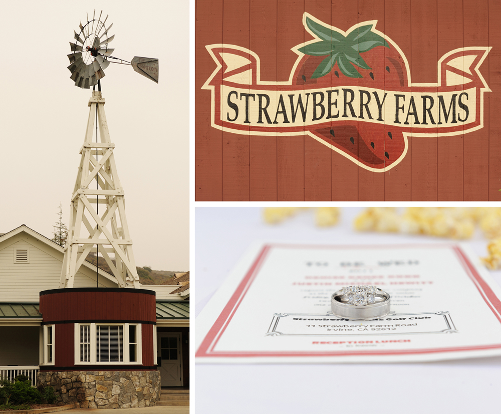 strawberryfarms12.jpg