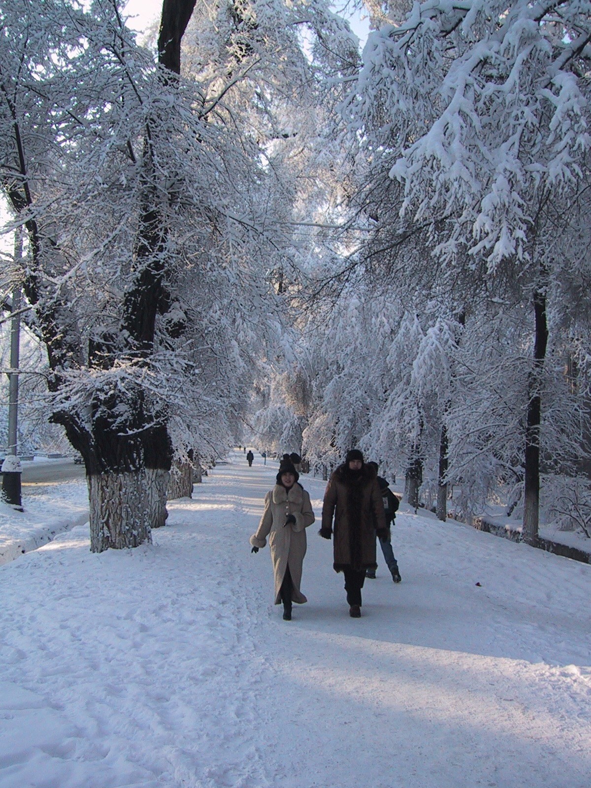 Almaty_winter_Street.jpg