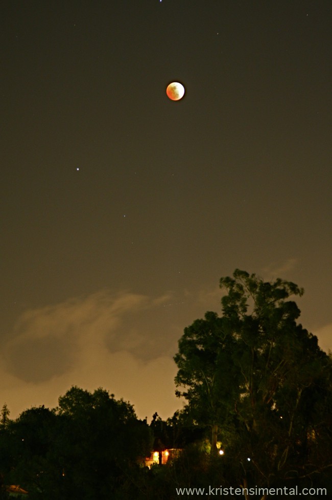 lunareclipse2008.jpg