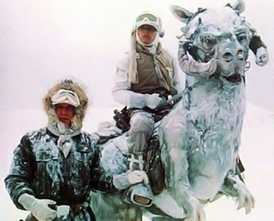 Star-Wars-Hoth-Tauntaun.jpg