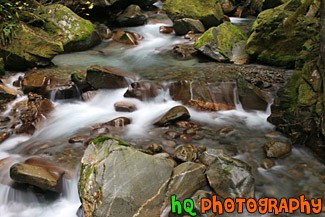 1720_ladder_creek.jpg