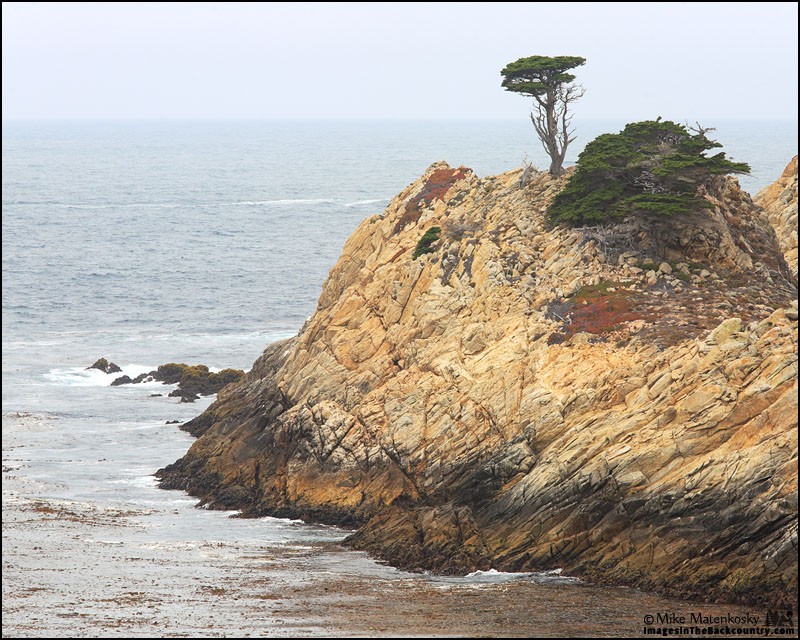 point-lobos-080214-02.jpg