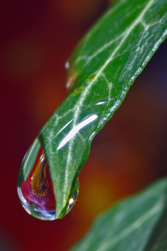 droplet01.jpg