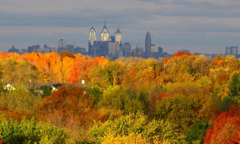 balcony-fall-crop1.jpg