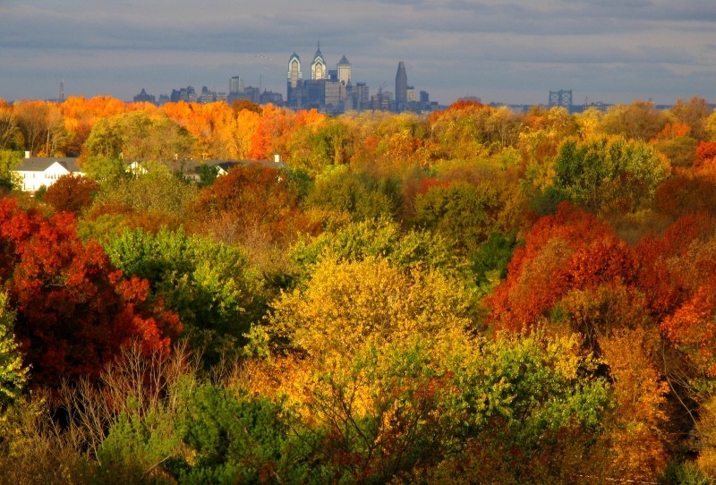 balcony-fall.jpg